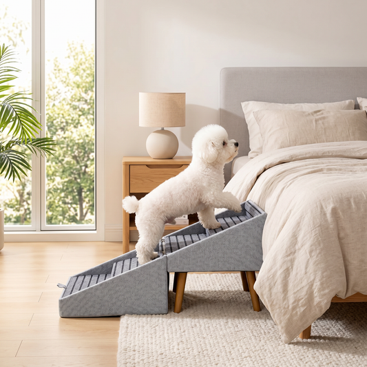 Zvarelo — Hundetrappen i ottoman-design som beskytter hundens ledd