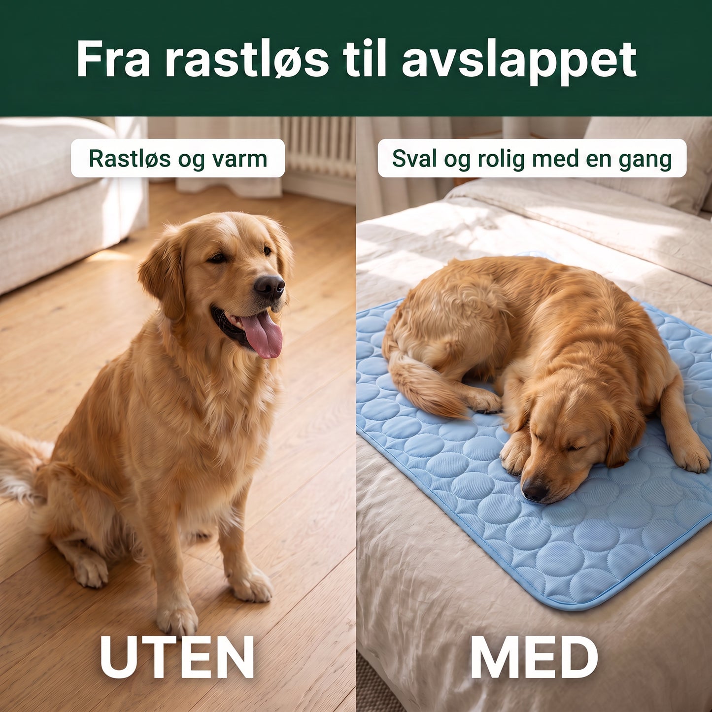Før og etter - rastløs til avslappet