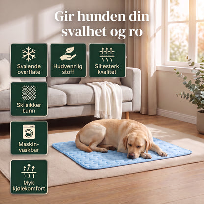 Gir hunden din svalhet og ro