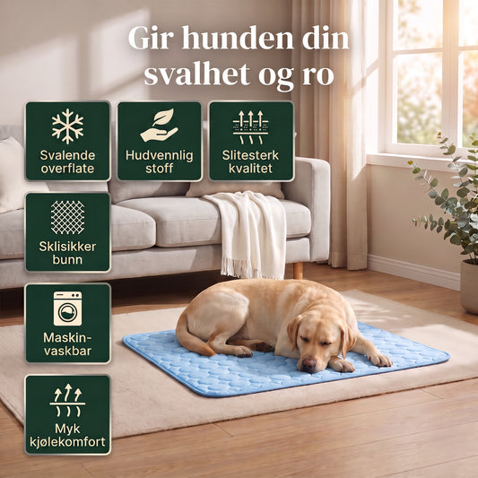 Gir hunden din svalhet og ro