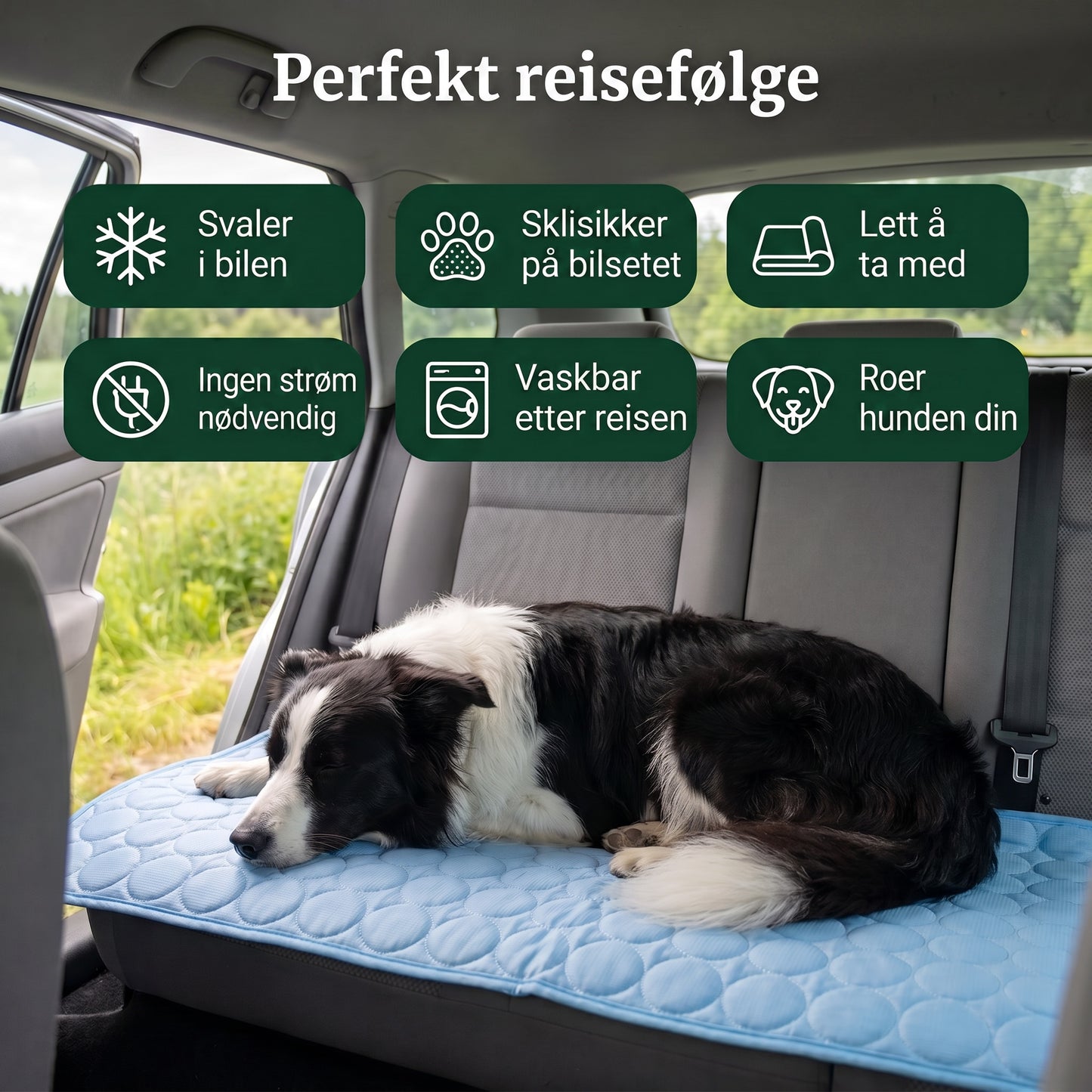 Perfekt reisefølge