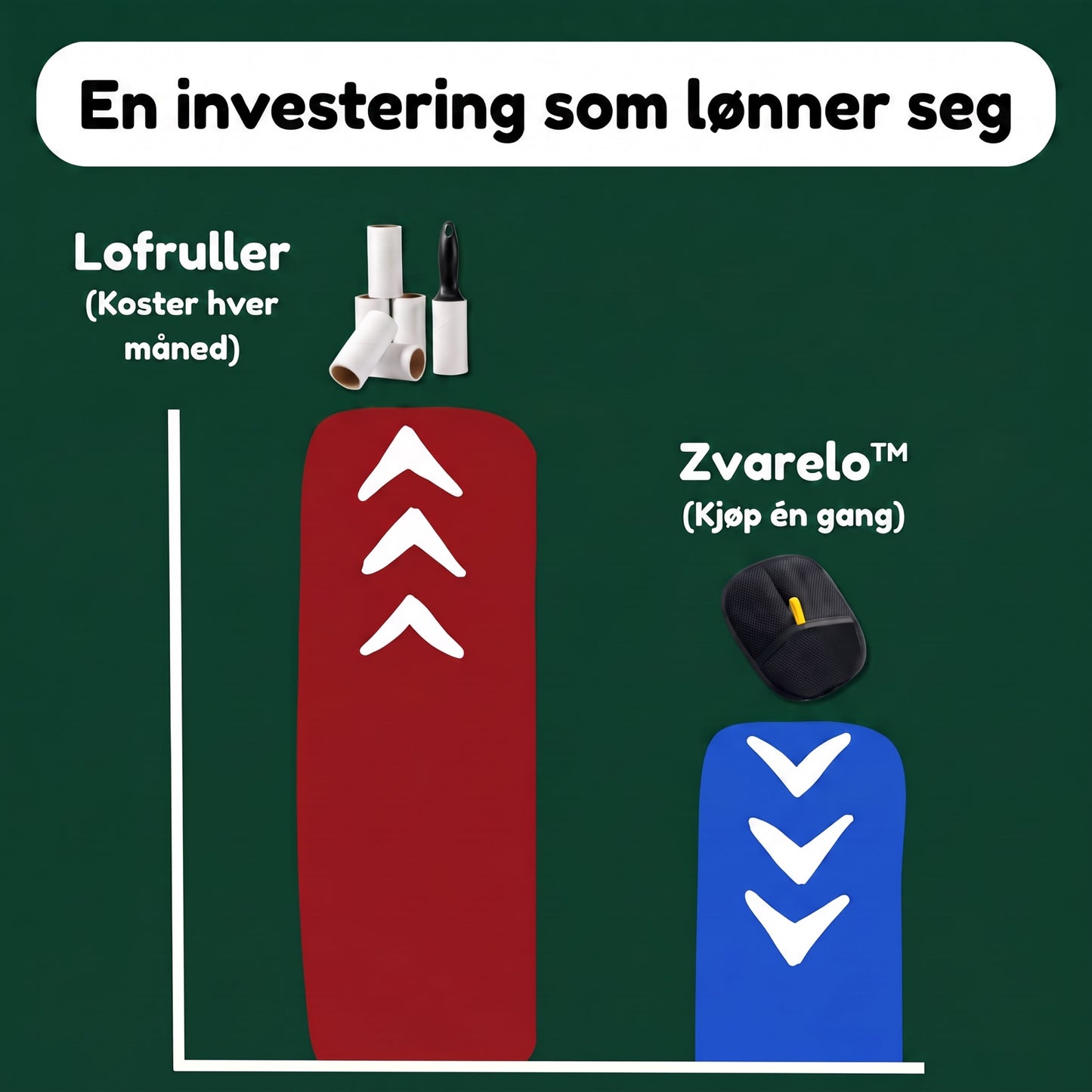 En investering