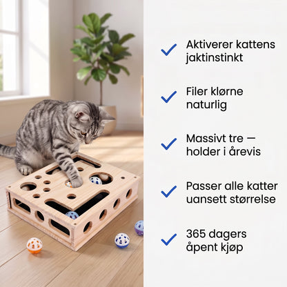 Fordeler katteleke i tre
