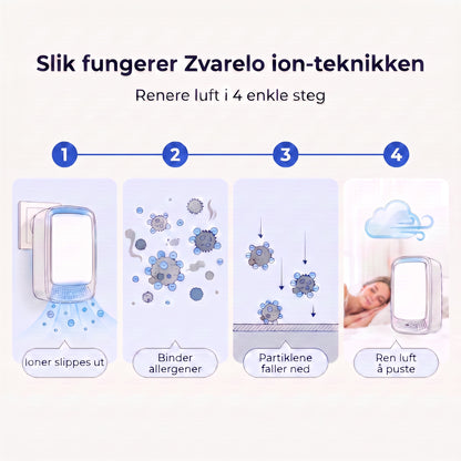 Ion-teknikk infografikk