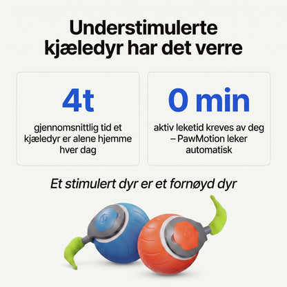 Understimulerte kjaeledyr