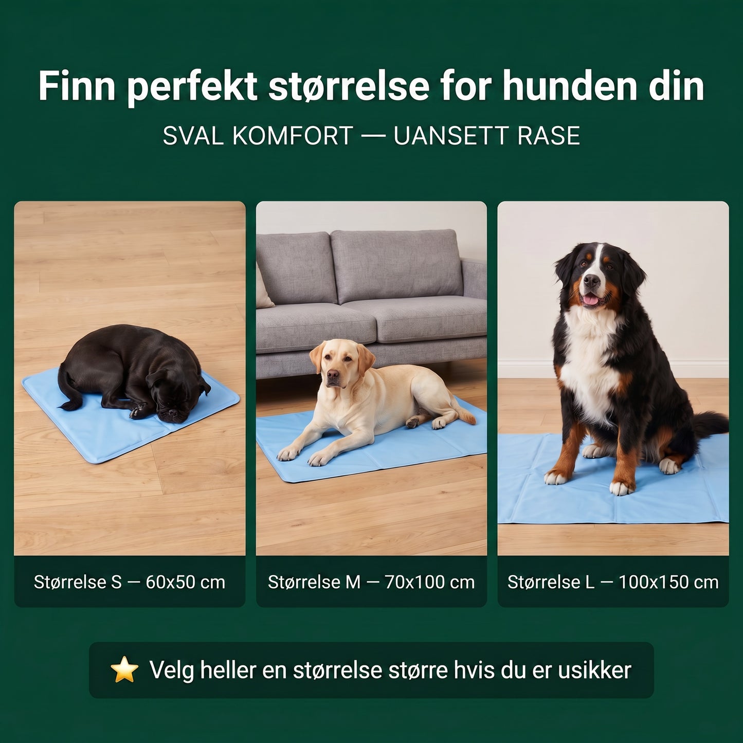 Størrelsesguide for kjølematten